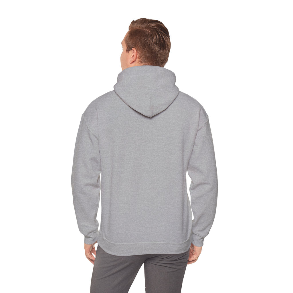 Vintage Texas License Plate Hoodie