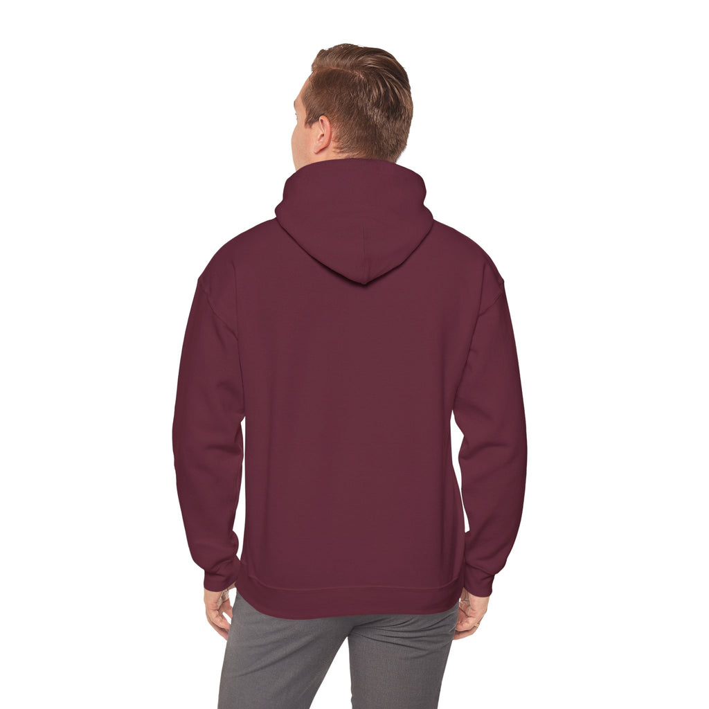 Vintage Texas License Plate Hoodie