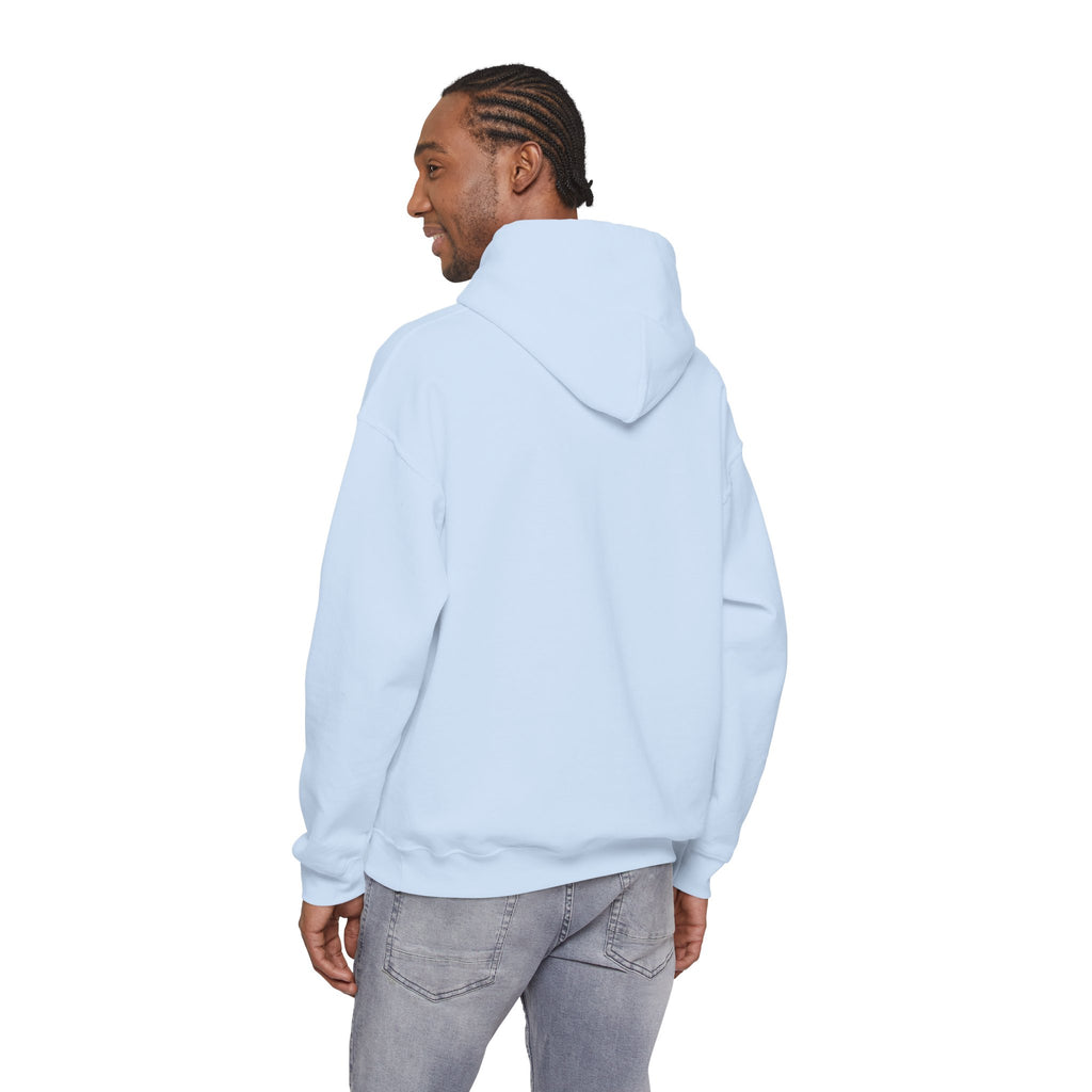 Vintage Arizona License Plate Hoodie
