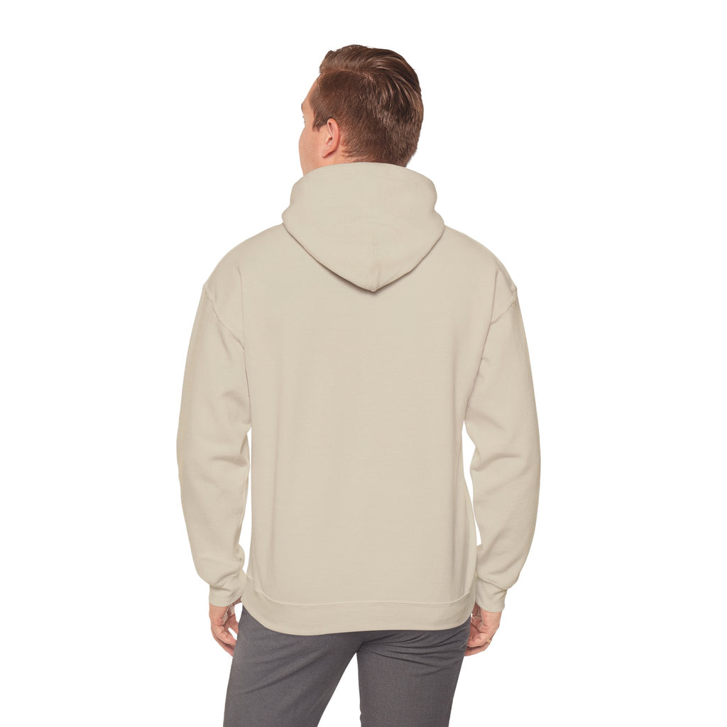 Vintage Texas License Plate Hoodie